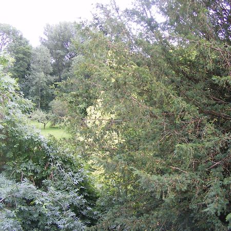 Les Lilas Des Deux Ponts Deux Rivieres Екстериор снимка